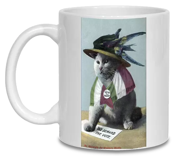 Suffragette Cat In Hat and Flag