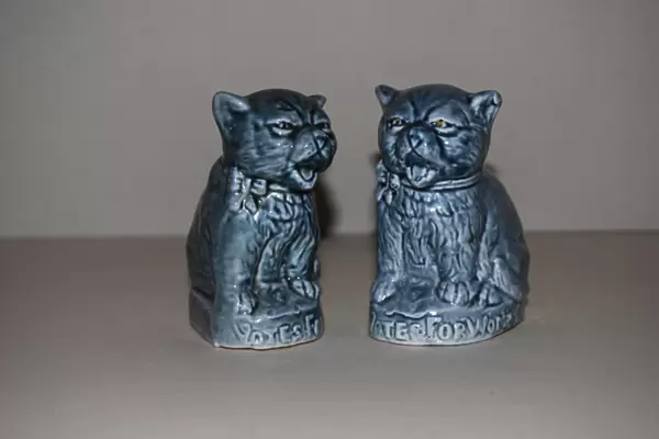 Suffragette Votes for Women Ceramic Cats