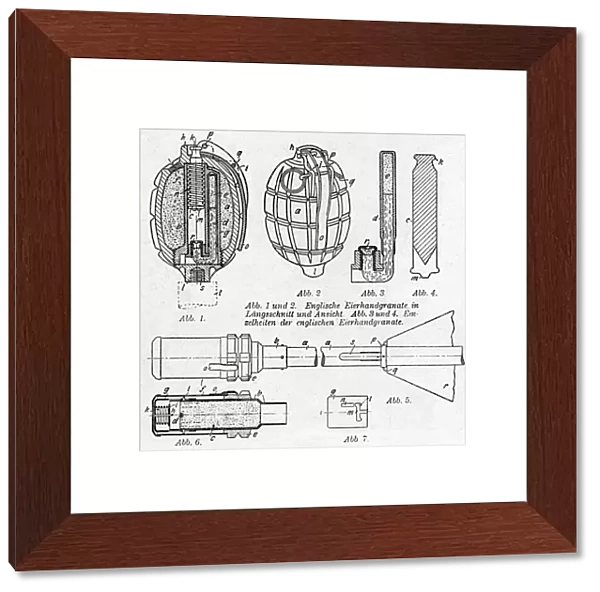 Sectional view of a Mills grenade, WW1