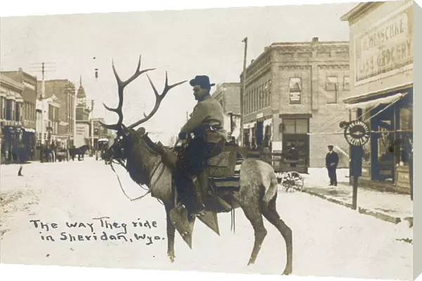 Cowboy riding elk, Sheridan, Wyoming, USA