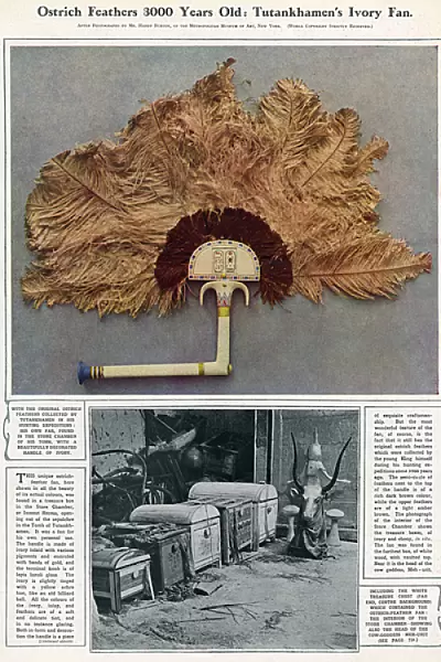 Tutankhamuns ivory fan with ostrich feathers