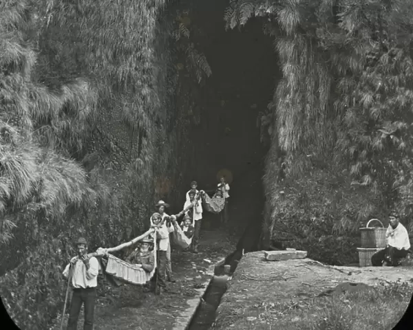 Visit to Madeira - The Levada Tunnel