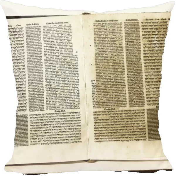 Biblia Pol�ota Complutense (The Complutensian