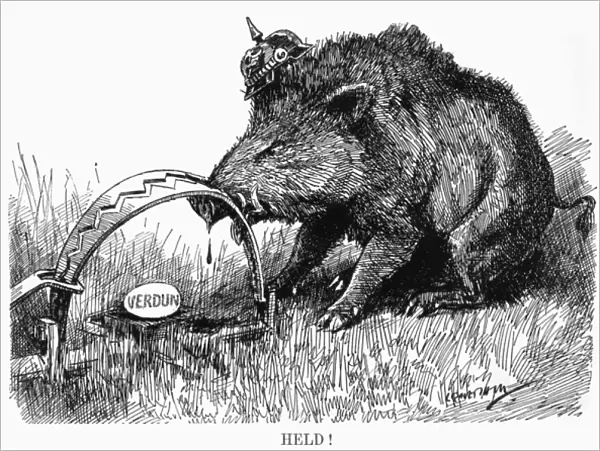 German Boar held at Verdun - Cartoon