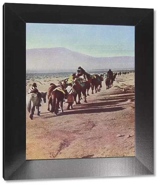 A Desert Camel Caravan - Peking to Russian Turkestan