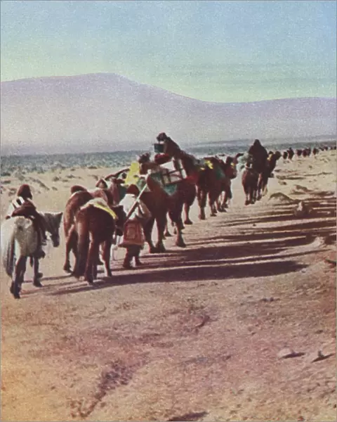 A Desert Camel Caravan - Peking to Russian Turkestan
