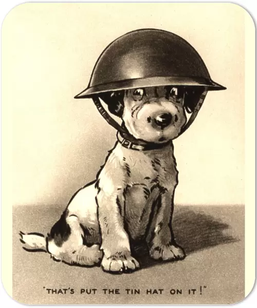 WW2 greetings card, dog in helmet