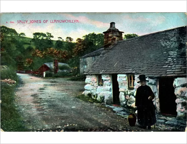 The Village, Llanuwchllyn, Merionethshire