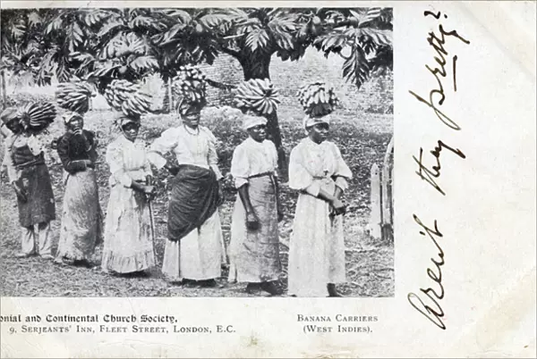 Jamaican Banana Carriers