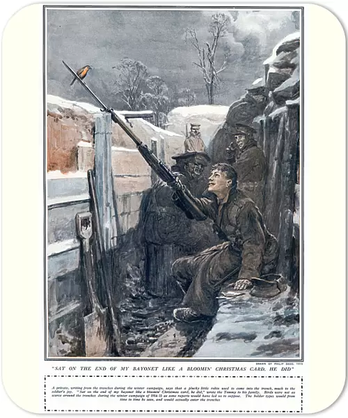 Robin in the trenches, WW1 by Philip Dadd