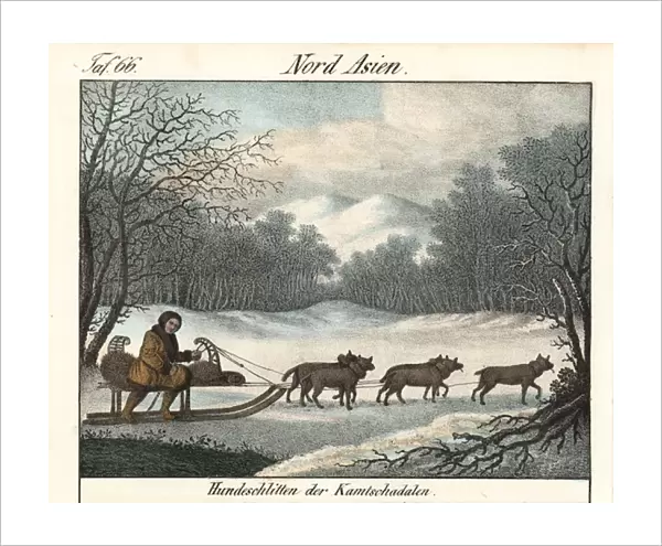 Itelmen man in fur-lined clothes riding a dogsled