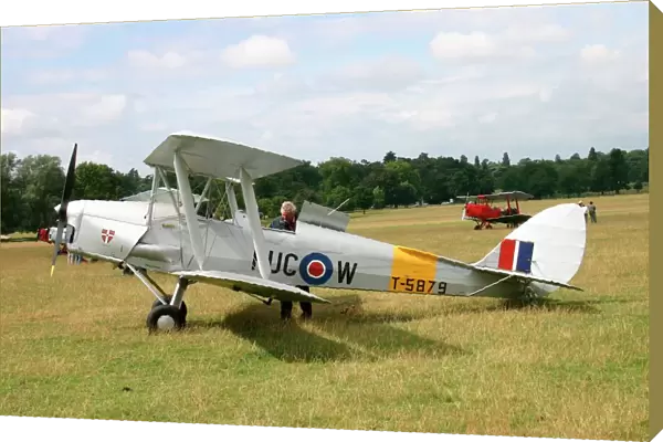 De Havilland DH 82 Tiger Moth, the RAFs standard prima
