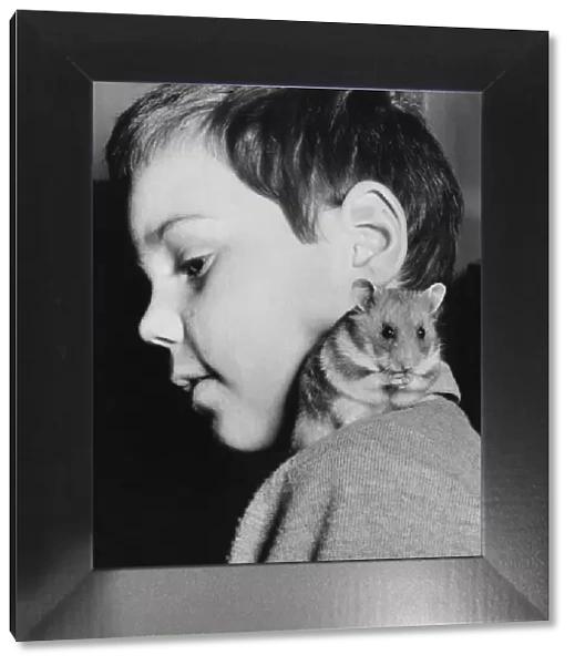 Little boy with pet hamster on his shoulder
