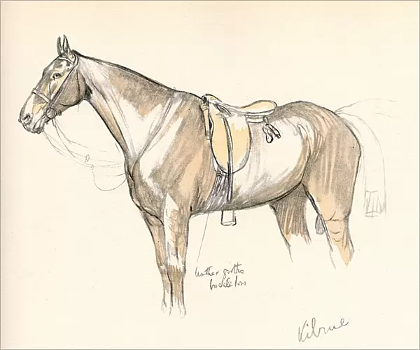 Kilrue, horse belonging to Lord Lonsdale