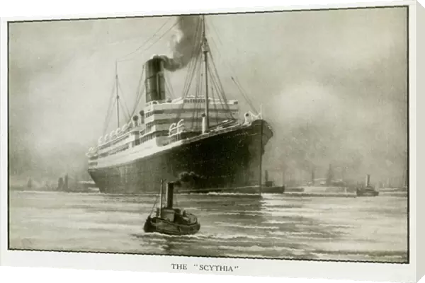 The Cunard Liner RMS Scythia