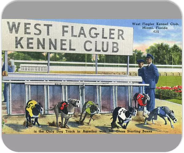 West Flagler Kennel Club, Miami, Florida, USA