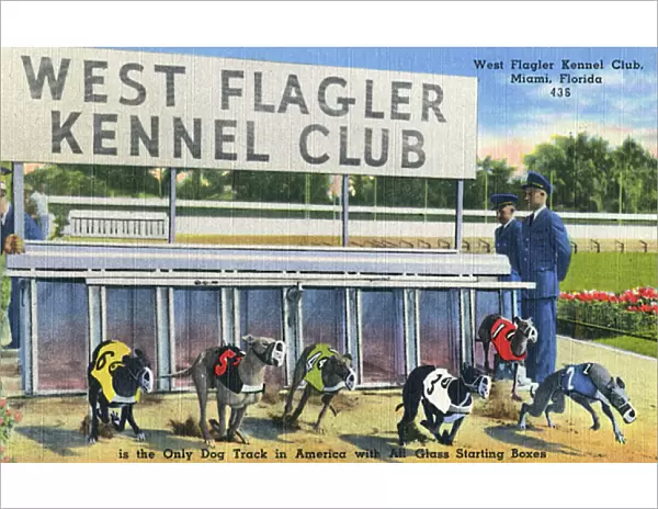 West Flagler Kennel Club, Miami, Florida, USA