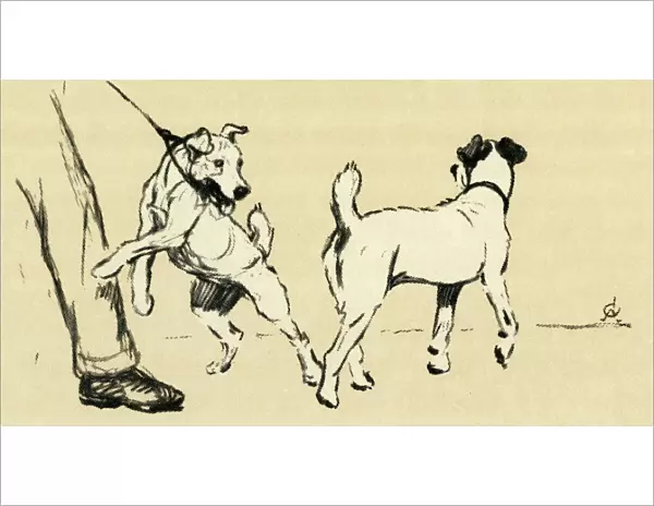 Illustration by Cecil Aldin, dog walking