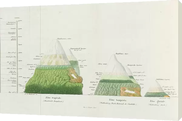 Distributions of plants at various altitudes