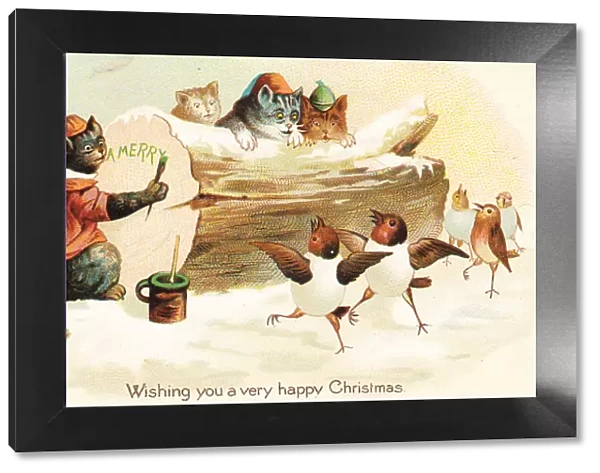 Cats and birds on a Christmas card