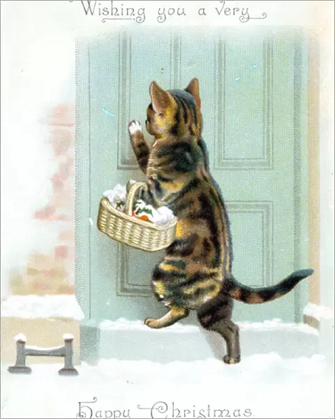 Cat with basket on a Christmas card