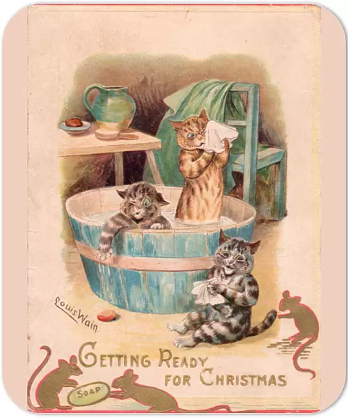Three cats getting ready for Christmas