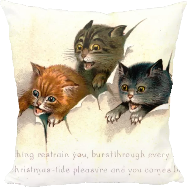 Three kittens on a Christmas card