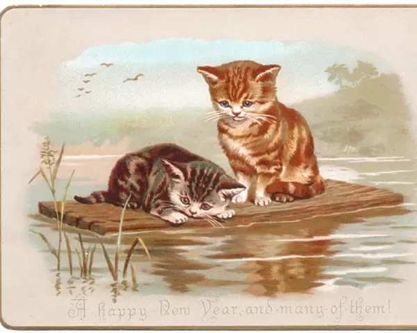 Two kittens on a raft on a New Year card
