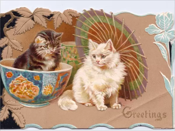 Two kittens with parasol on a greetings card