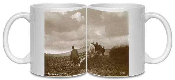 Four-horse Ploughing team at work - South Downs, East Sussex