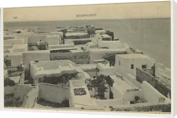 Aerial view of Hammamet, Tunisia, North Africa