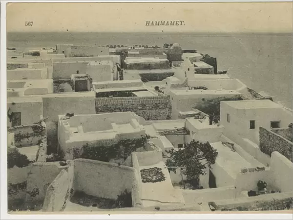 Aerial view of Hammamet, Tunisia, North Africa
