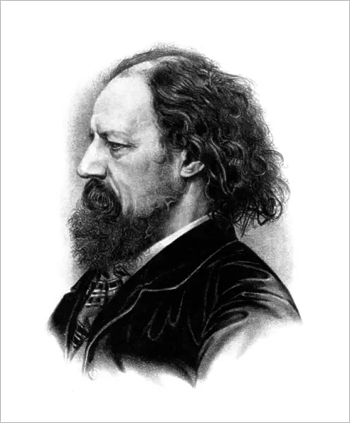 Tennyson profile