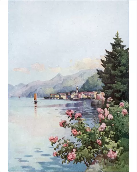 Italy  /  Lake Como Bellagio