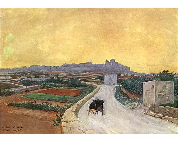 Malta  /  Medina  /  Old Capital