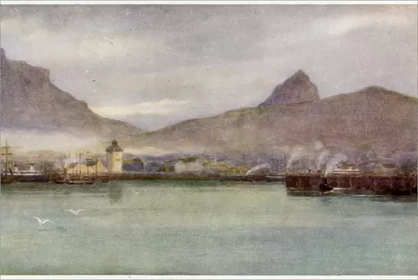 Cape Town  /  Table Mt 1905