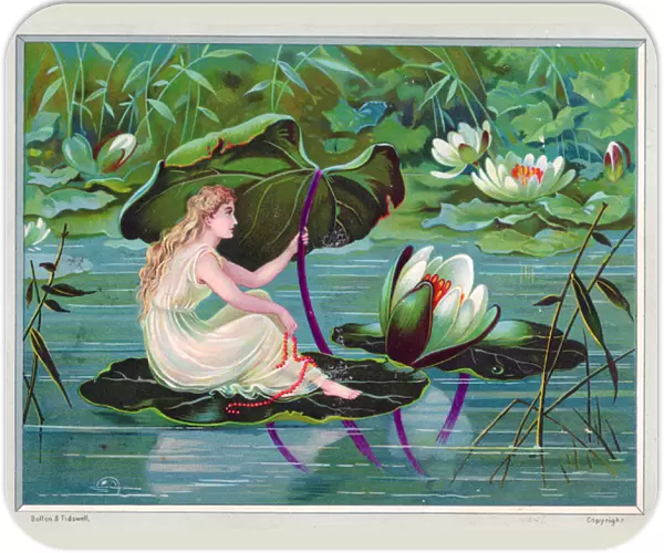 Fairy sheltering under lily leaf on a greetings card