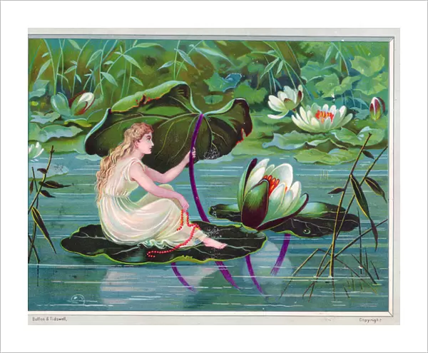 Fairy sheltering under lily leaf on a greetings card