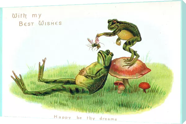 Two frogs with insect on a greetings card