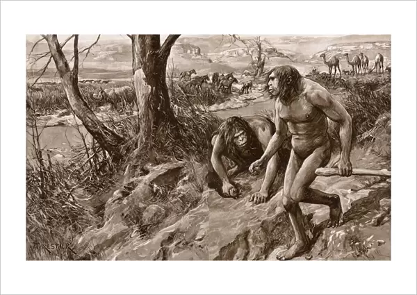 Earliest man tracked by tooth, discovery in Pliocene strata
