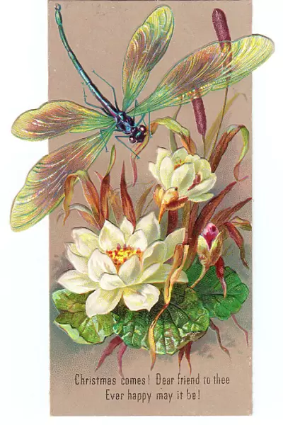 White lilies and dragonfly on a Christmas card