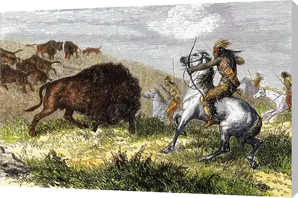 Indians hunting bison