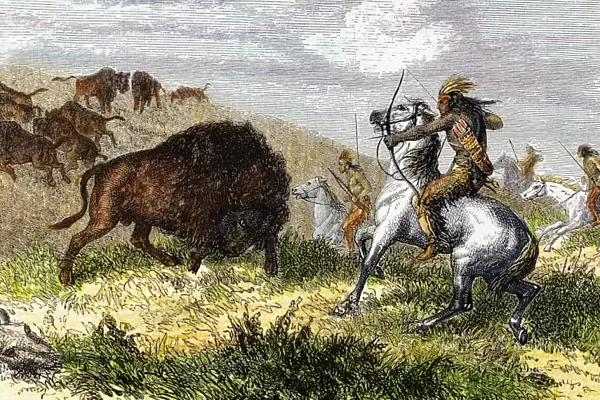 Indians hunting bison