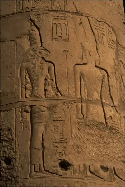 Rellief depicting goddess Sekhmet or Sekhmet, head of a lion