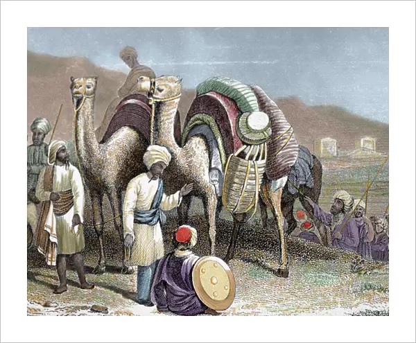 Silk Road. Caravan of camels resting. Engraving