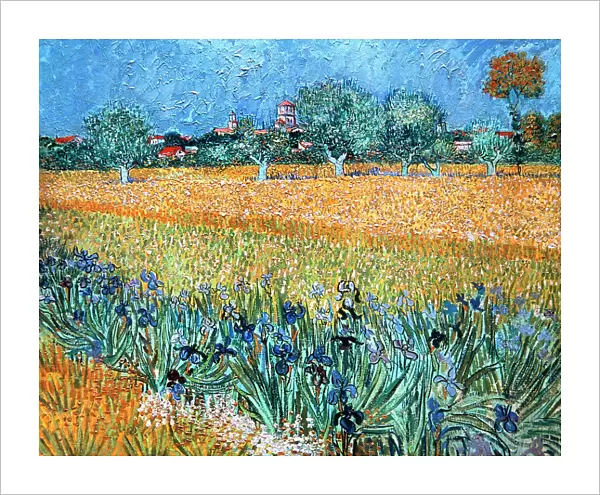 Field with Flowers near Arles by Van Gogh