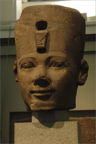 Colossal head problably from Thutmose I. Egypt
