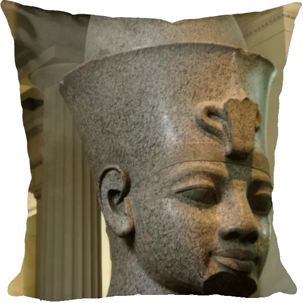 Head from monumental statue problably from Amenhotep III. Eg