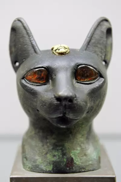Egypt. Head of a cat with amber eyes. Carlsberg Glyptotek Mu