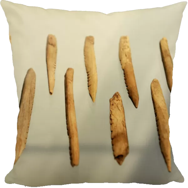Bone objects. Maglemosian Culture, 9500-6500 BC